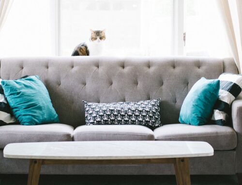 Australia’s hottest design trends for 2023